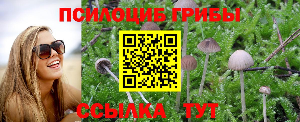 Галлюциногенные грибы Magic Shrooms  Вход с VPN  закладки  Щёлково  Галлюциногенные грибы Cubensis 